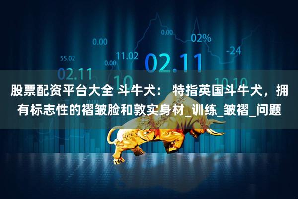 股票配资平台大全 斗牛犬： 特指英国斗牛犬，拥有标志性的褶皱脸和敦实身材_训练_皱褶_问题
