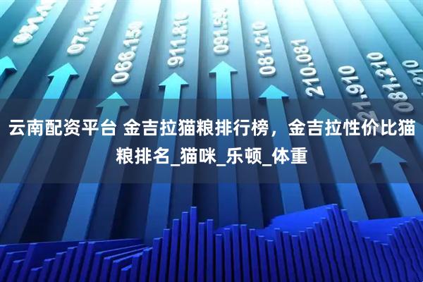云南配资平台 金吉拉猫粮排行榜，金吉拉性价比猫粮排名_猫咪_乐顿_体重